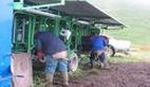 agandir - troupeau-interet-collectif-304