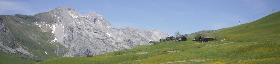 alpages du Grand Bornand