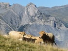 agandir - 