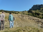 agandir - 