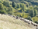 agandir - 